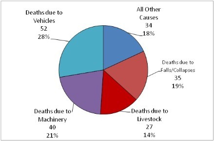 Causes of Fatal Accidents