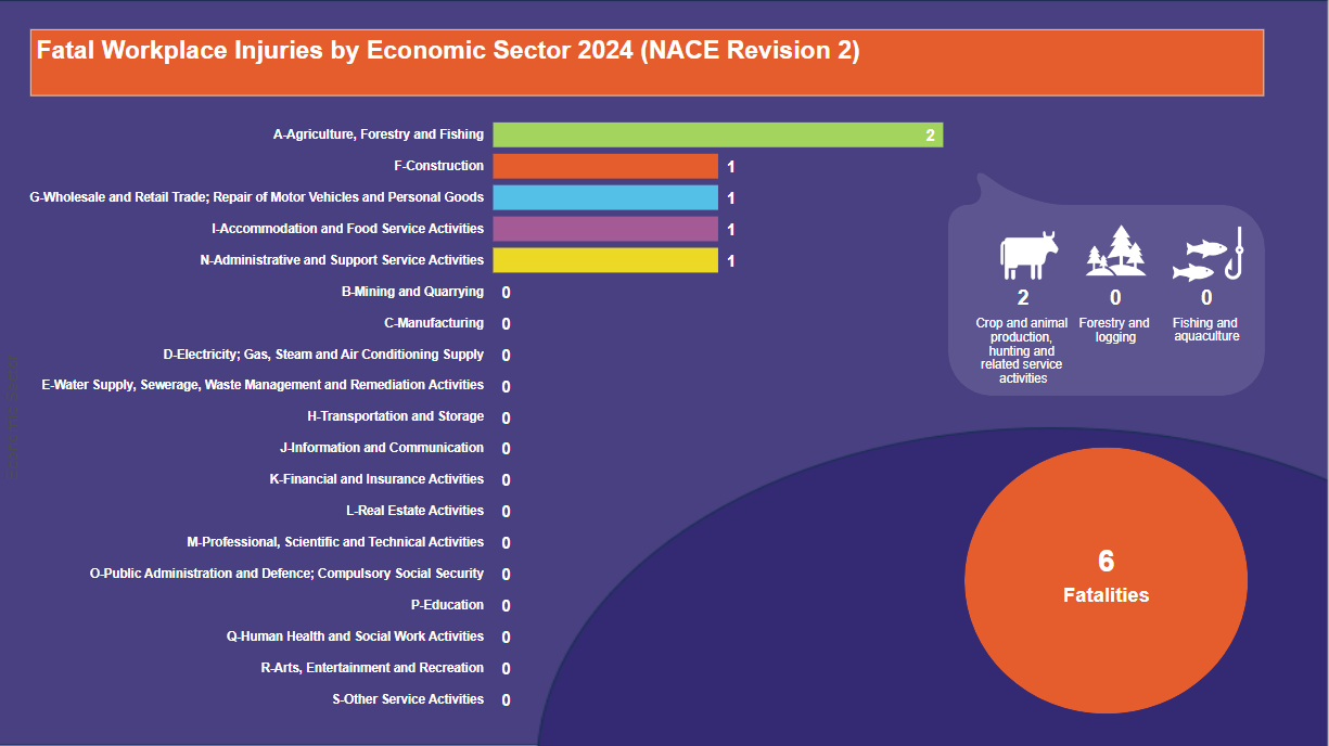 Fatal-Workplace-Injuries-by-Economic-Sector-2024-(NACE-Revision-2)-22.03.2024