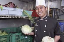 catering Worker catering Worker