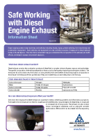 Diesel Exhaust Info Sheet front page preview
              