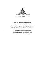 Financial Statements 2018 front page preview
              