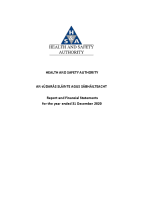 Financial Statements 2020 front page preview
              