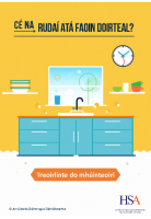 Teacher Guidelines Irish Version front page preview
              