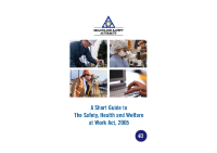 Short Guide to the Safety, Health and Welfare at work Act 2005 front page preview
              