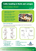 Cattle Handling in Marts and Lairages Information Sheet front page preview
              