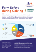 Farm Safety During Calving front page preview
              