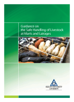 Guidance on Marts and Lairages front page preview
              