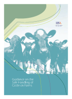 Safe Handling of Cattle on Farms front page preview
              