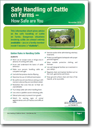 Safe Handling of Cattle