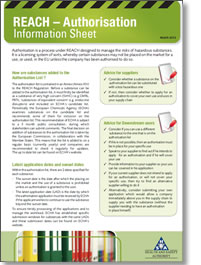 REACH Authorisation Information Sheet Cover