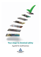 Your Steps to Chemical Safety front page preview
              