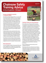 chainsaw_infosheet_cover