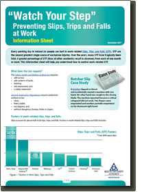 Preventing Slips, Trips and Falls cover