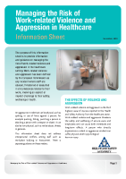 Violence in Healthcare Information Sheet front page preview
              