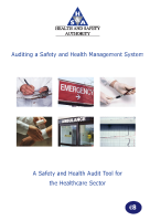 Auditing Healthcare front page preview
              