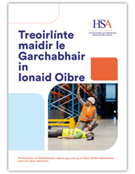 Treoirlinte-maidir-le-Garchabhair-in-Ionaid-Oibre-thumbnail