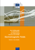EU_EMF_Guide_Vol_2_Case_Studies front page preview
              