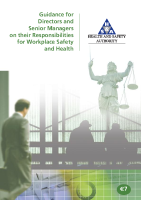 Directors responsibilities front page preview
              