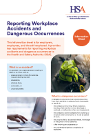 Reporting Workplace Accidents and Dangerous Occurrences front page preview
              