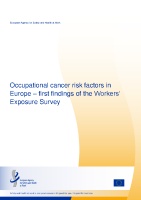 WES_first_findings_en_0 front page preview
              
