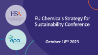 Session 2 - EU Chemicals Strategy for Sustainability Conference front page preview
              