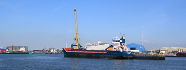 Dry Bulk Ship