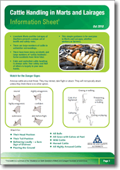 Cattle Handling in Marts and Lairages Information Sheet Cover