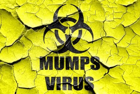 Mumps Virus