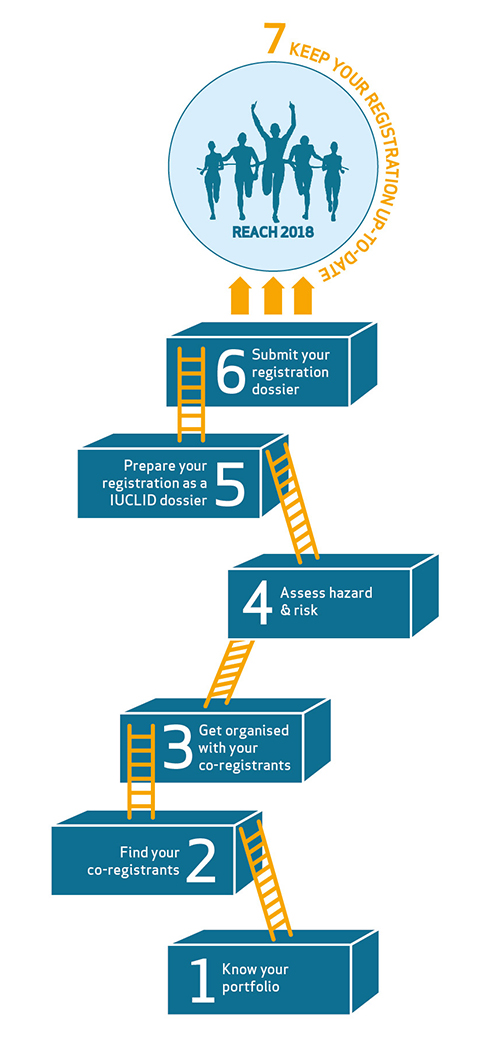 REACH 2018 infographic