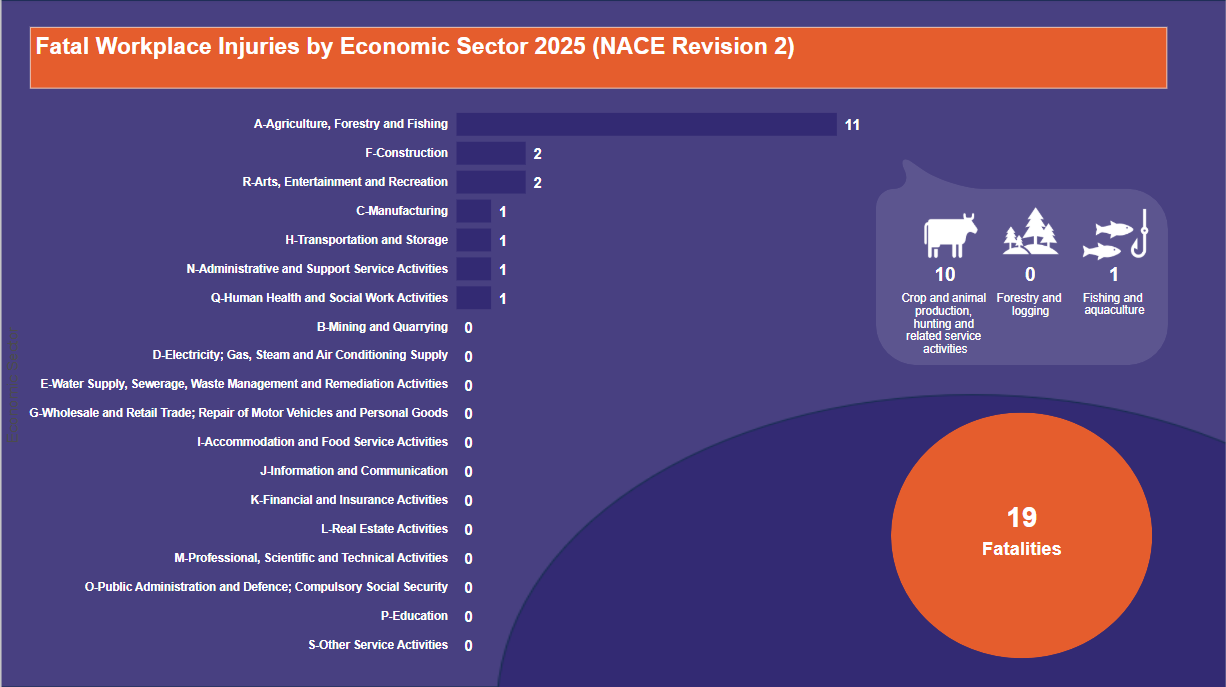 Fatal-Workplace-Injuries-by-Economic-Sector-2025-(NACE-Revision-2)-04.07.2025