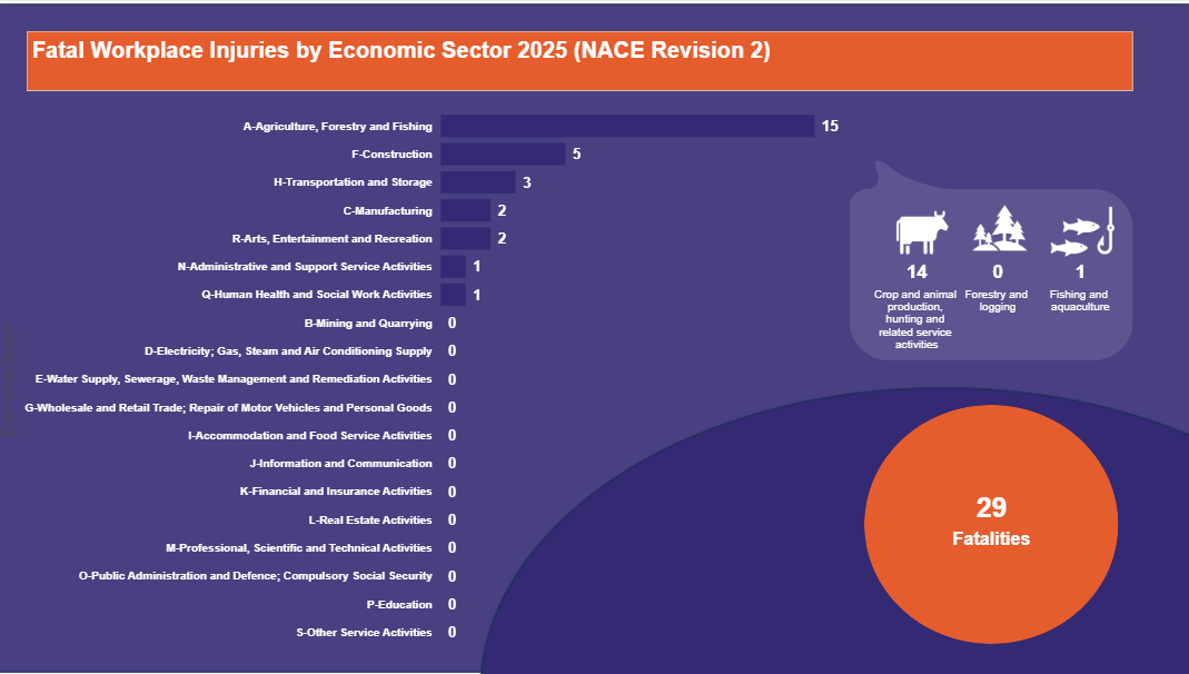 Fatal-Workplace-Injuries-by-Economic-Sector-2025-(NACE-Revision-2)-04.09.2025