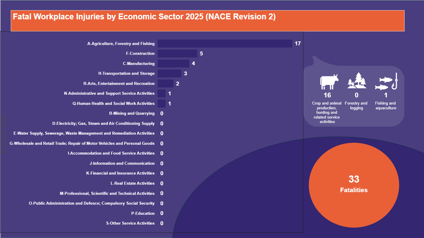Fatal-Workplace-Injuries-by-Economic-Sector-2025-(NACE-Revision-2)-08.10.2025