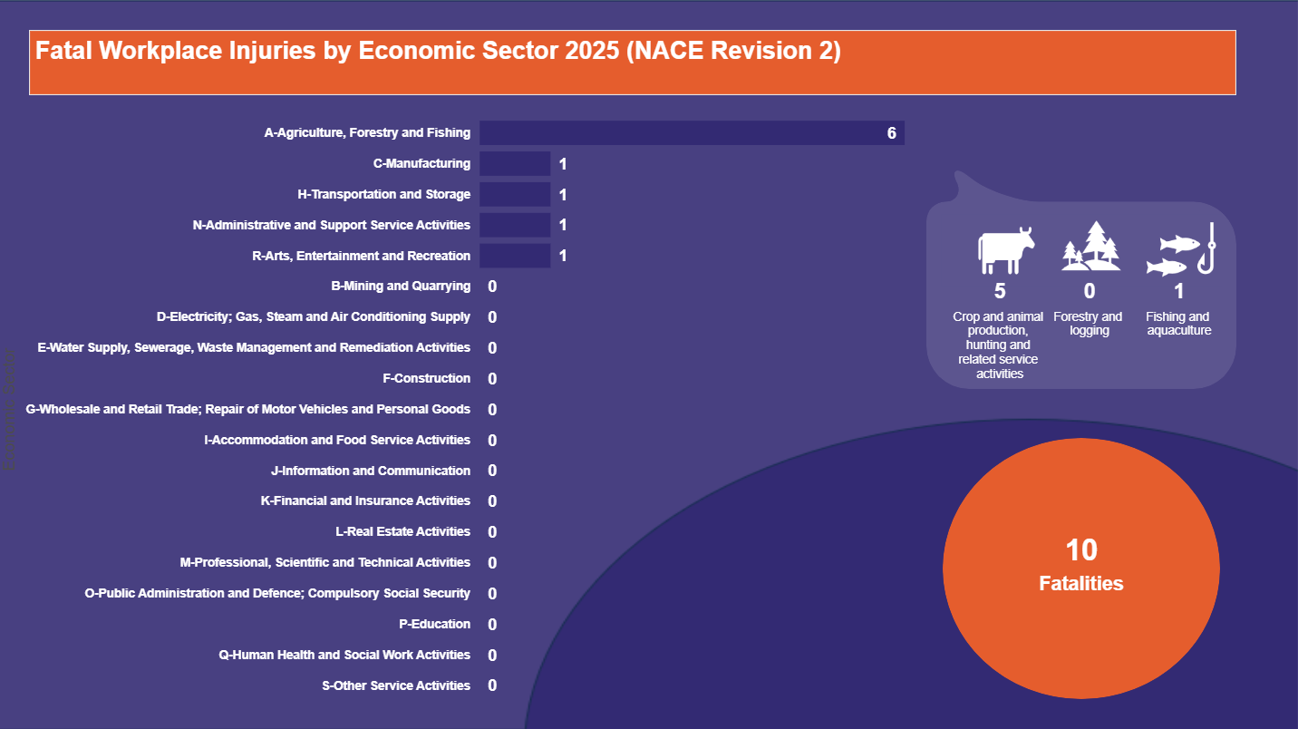 Fatal-Workplace-Injuries-by-Economic-Sector-2025-(NACE-Revision-2)-12.05.2025