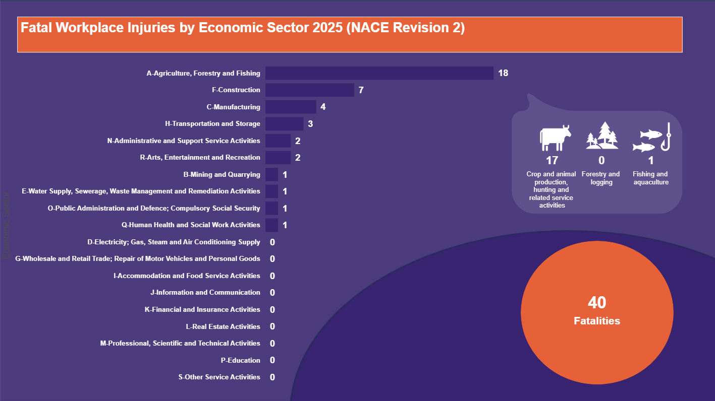 Fatal-Workplace-Injuries-by-Economic-Sector-2025-(NACE-Revision-2)-12.11-2026