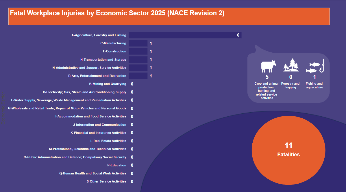 Fatal-Workplace-Injuries-by-Economic-Sector-2025-(NACE-Revision-2)-20.05.2025