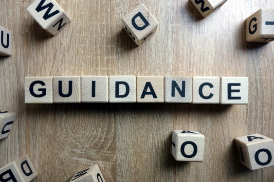 Guidance in Words