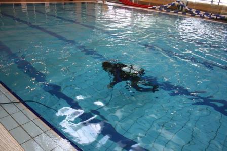 Diver in Pool
