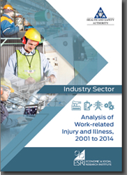 Research Programme on Health Safety and wellbeing at Work - Industry Sector thumbnail
