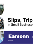 3. Slips, Trips & Falls Eamonn O'sullivan thumbnail