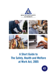 A Short Guide to the Safety, Health and Welfare at Work Act 2005 thumbnail