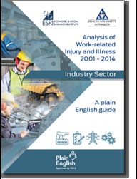Research Programme on Health Safety and wellbeing at Work - Industry Sector (Plain English) thumbnail