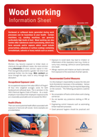 Wood working Information Sheet thumbnail