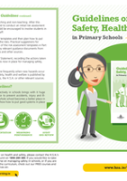 Guidelines on Managing Safety, Health and Welfare in Primary Schools Flyer thumbnail