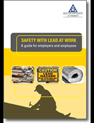 Safety with Lead at Work thumbnail