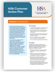 Customer Action Plan thumbnail