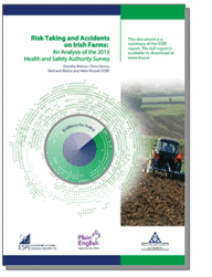 Risk Taking and Accidents on Irish Farms thumbnail