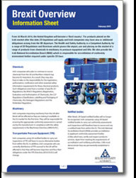 Brexit Overview Information Sheet thumbnail