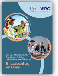 Cód Cleachtais le haghaidh Fostóirí agus Fostaithe maidir le Cosc agus Réiteach ar Bhulaíocht ag an Obair thumbnail