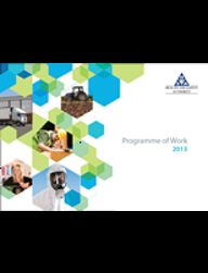 Programme of Work 2013 thumbnail