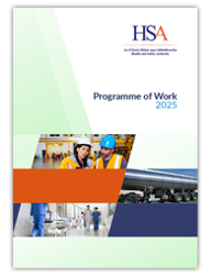 Programme of Work 2025 thumbnail